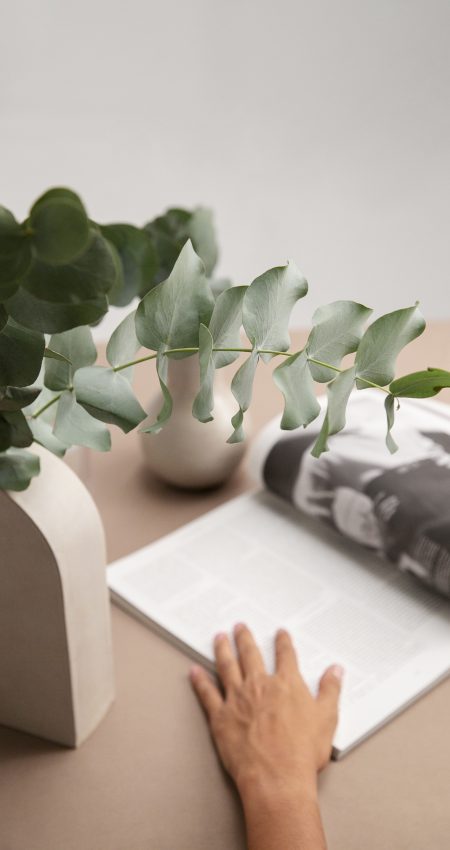 close-up-eucalyptus-plant